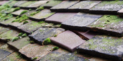 Essex roof repair costs